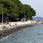 Maca