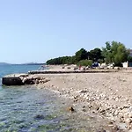 Maca